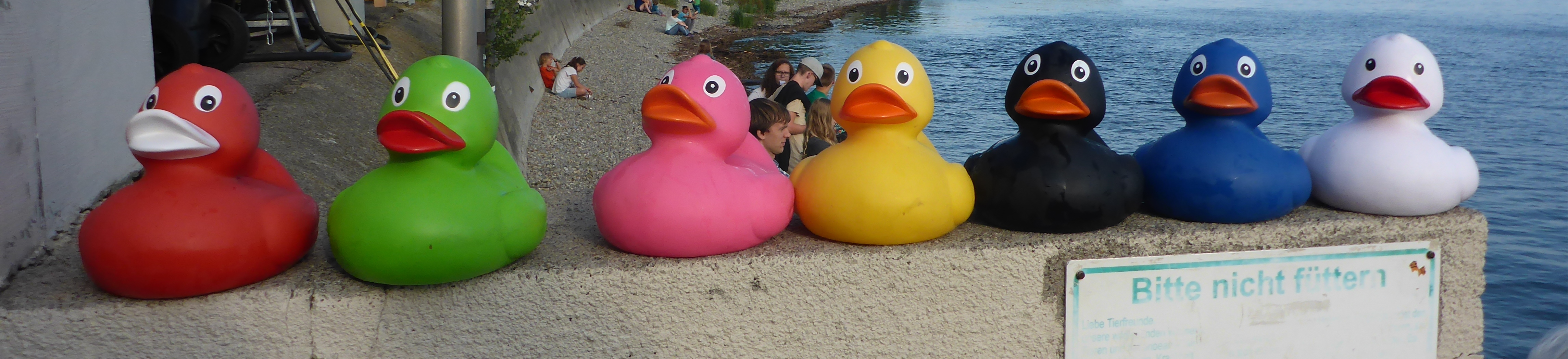 enten